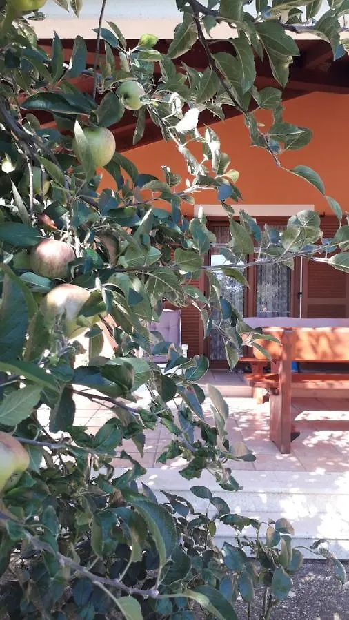 Apartman Lena Umag Apartment